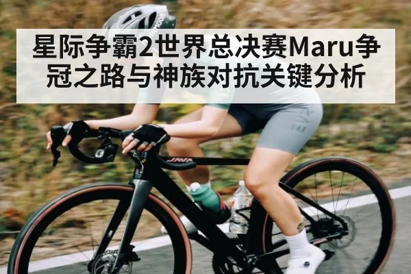 星际争霸2世界总决赛Maru争冠之路与神族对抗关键分析