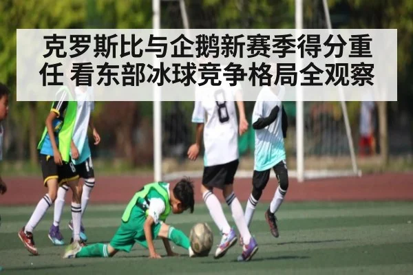 克罗斯比与企鹅新赛季得分重任 看东部冰球竞争格局全观察