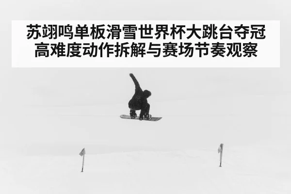 苏翊鸣单板滑雪世界杯大跳台夺冠高难度动作拆解与赛场节奏观察